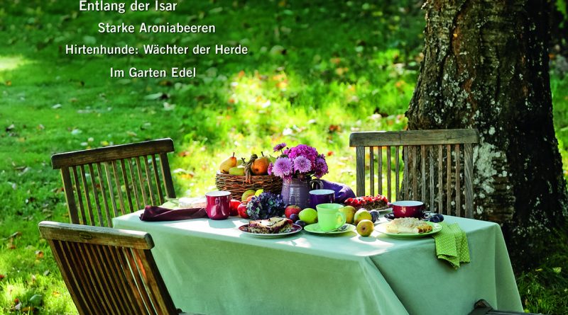 © Deutsche Medien-Manufaktur