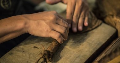 © AdobeStock/Miguel