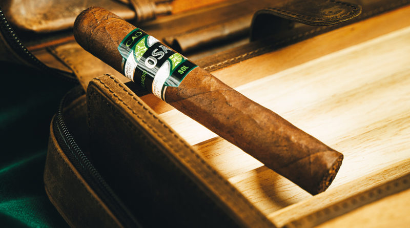 CAO OSA Los Slot 50 © Reinhard Pohorec/Christopher Hanschitz