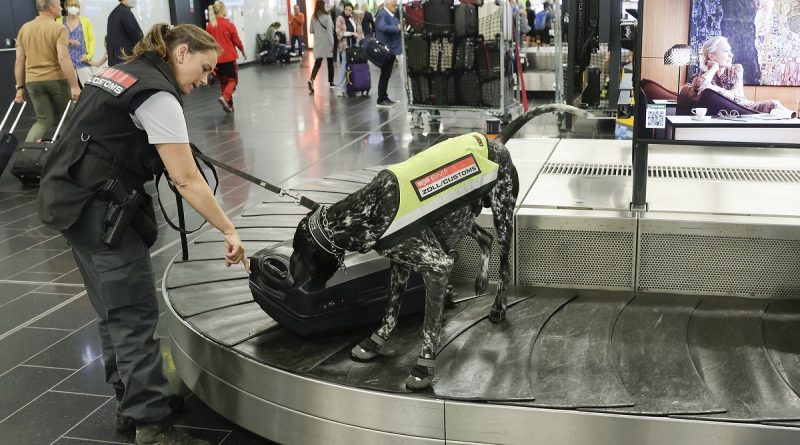 Tabakwaren finden die Suchhunde des Zolls am Flughafen Wien am häufigsten © BKA/Aigner
