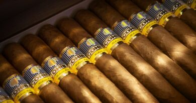 © AdobeStock/Dmitry Ersler