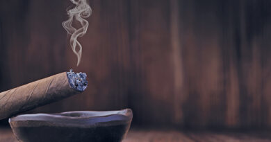 Auch in Zukunft setzt tobaccoland auf die Zigarre und bietet seinen Kunden eine entsprechende Vielfalt an. © Gresei-AdobeStock