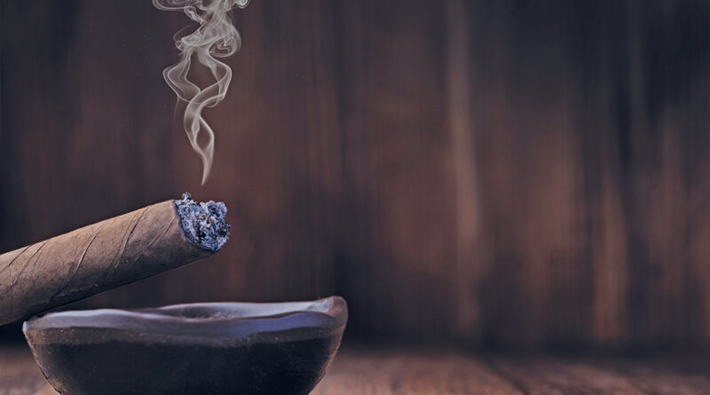 Auch in Zukunft setzt tobaccoland auf die Zigarre und bietet seinen Kunden eine entsprechende Vielfalt an. © Gresei-AdobeStock
