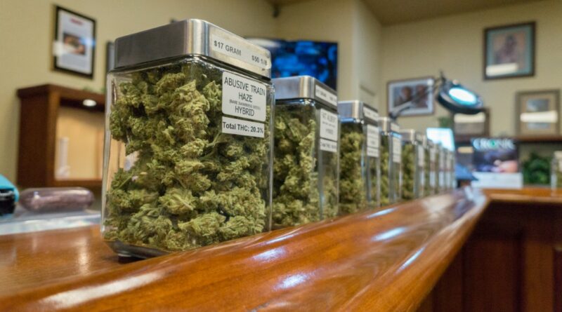In vielen US-Bundesstaaten sind Cannabis-Blüten und Produkte aus Cannabis frei erhältlich © AdobeStock/Rob