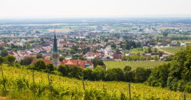 CWL folgt Tobaccoland an den Standort Gumpoldskirchen © AdobeStock/Alla