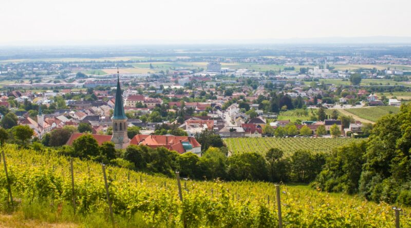 CWL folgt Tobaccoland an den Standort Gumpoldskirchen © AdobeStock/Alla