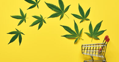 Die Erwartungen zum Verkaufsstart der CBD-Blüten in Trafiken waren hoch – die Nachfrage scheint bislang eher verhalten. © colnihko-AdobeStock.psd © colnihko-AdobeStock