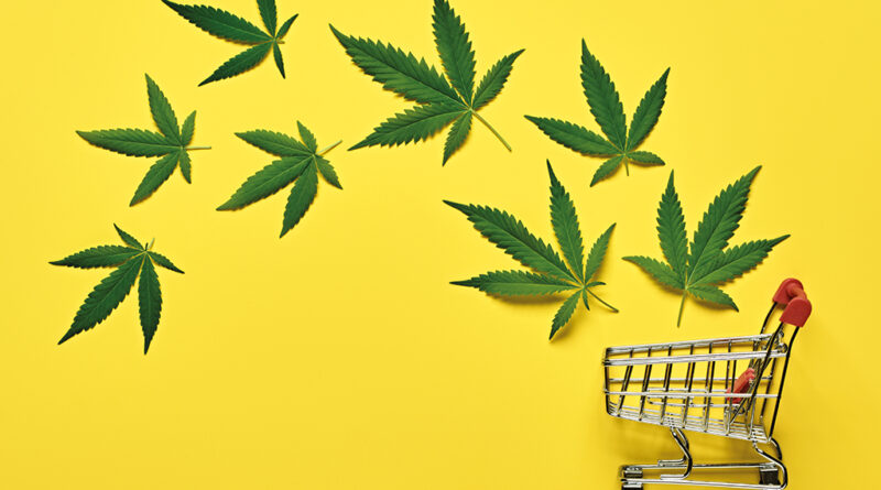 Die Erwartungen zum Verkaufsstart der CBD-Blüten in Trafiken waren hoch – die Nachfrage scheint bislang eher verhalten. © colnihko-AdobeStock.psd © colnihko-AdobeStock