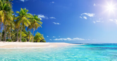 © AdobeStock/Romolo Tavani