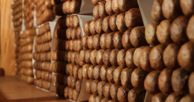 © AdobeStock/Media Ingenious Corp