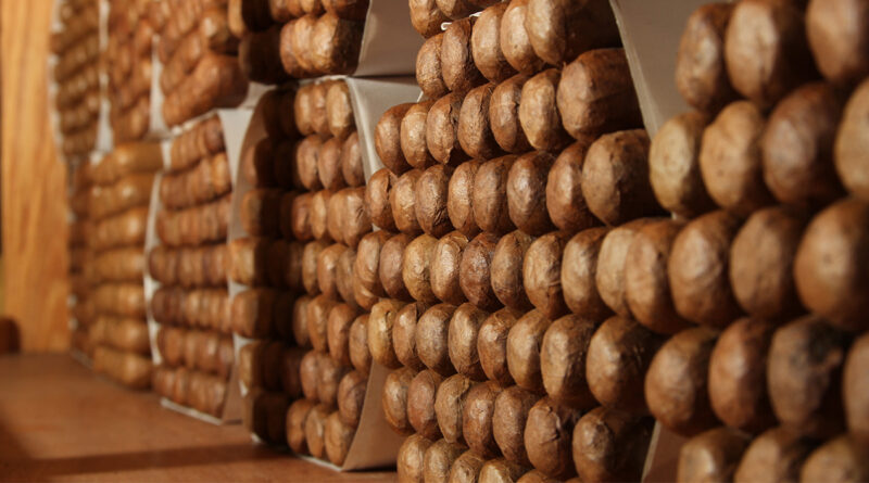 © AdobeStock/Media Ingenious Corp