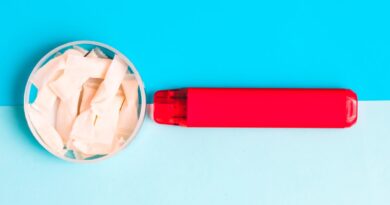 © AdobeStock/ir1ska