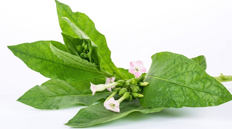 © AdobeStock/Lili.Q